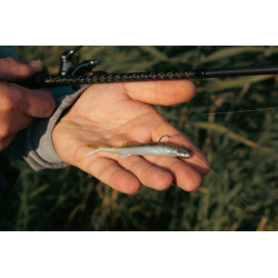 Gumy Perch Professor Freakin Minnow