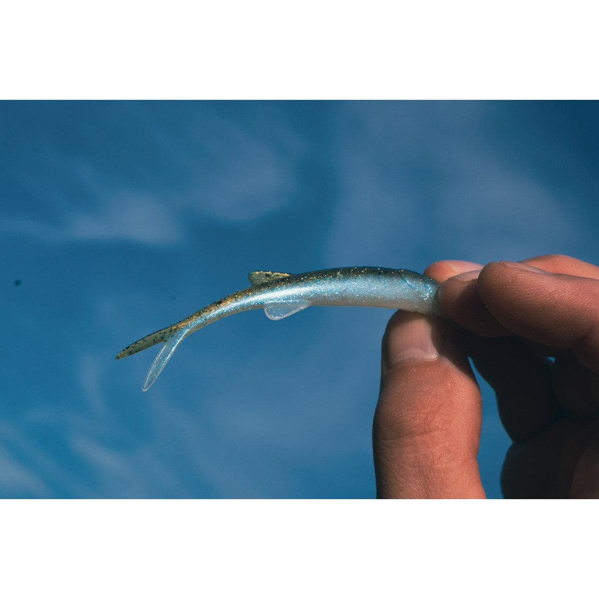 Gumy Perch Professor Freakin Minnow