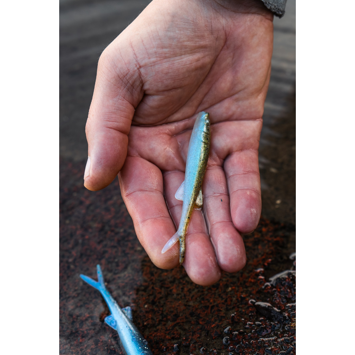 Gumy Perch Professor Freakin Minnow