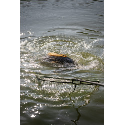 Kosz podbieraka Korum Full Metal Speci Square Latex