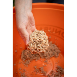 S1870023 Klej Sonubaits Maggot Glue 300g