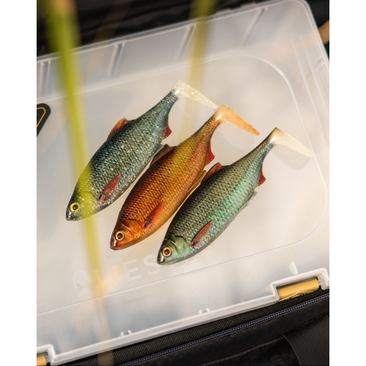 Gumy Westin Ricky The Roach Shadtail 14cm