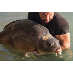 Preparat do odkażania Korda Propolis Carp Treatment