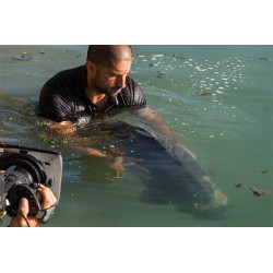 Preparat do odkażania Korda Propolis Carp Treatment