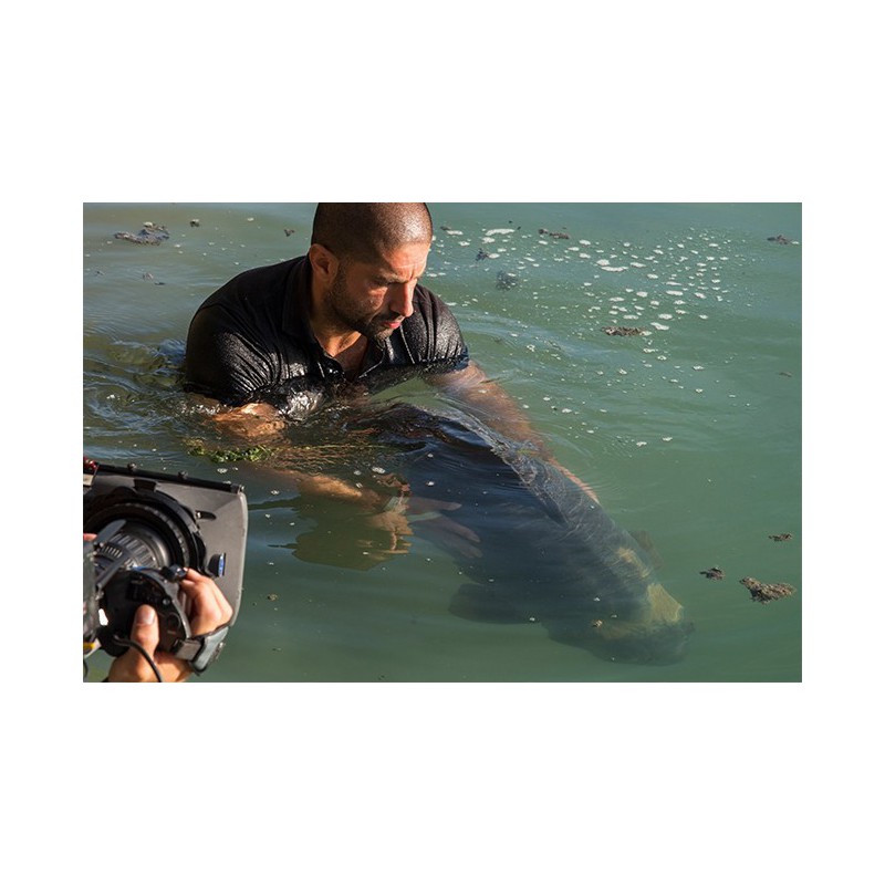 Preparat do odkażania Korda Propolis Carp Treatment