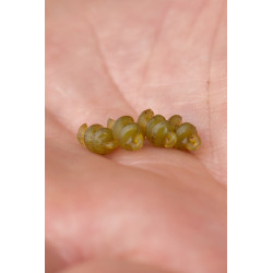 K0310374 Stopery Korum Smokescreen Meat Screws