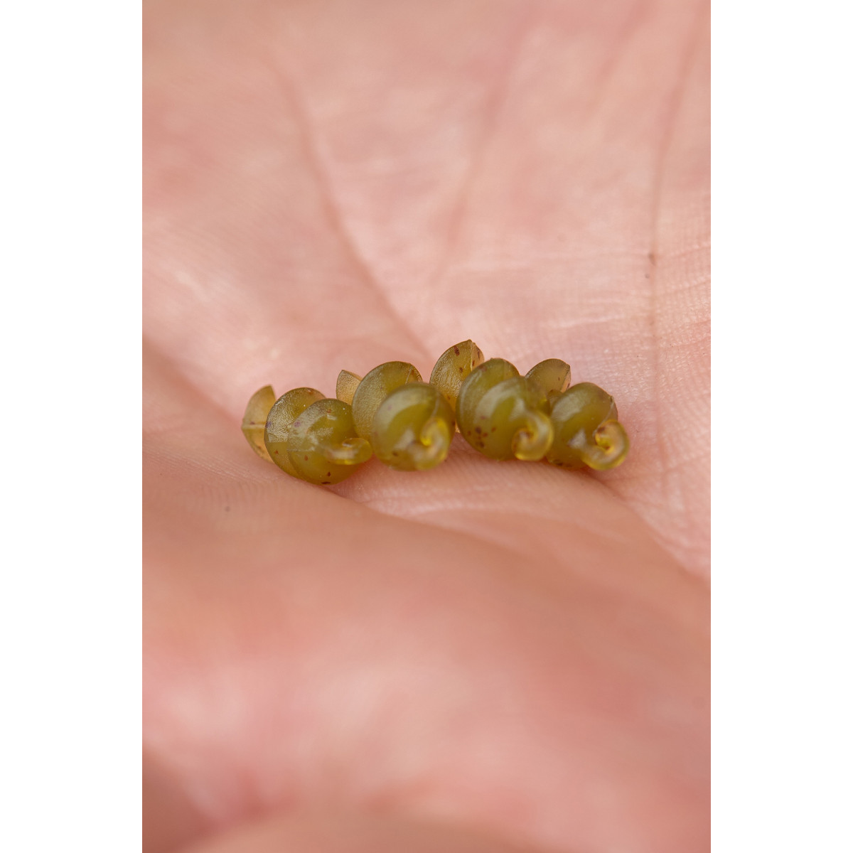 K0310374 Stopery Korum Smokescreen Meat Screws