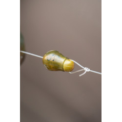 K0310377 Łączniki Korum Smokescreen Quick Change Beads - Large