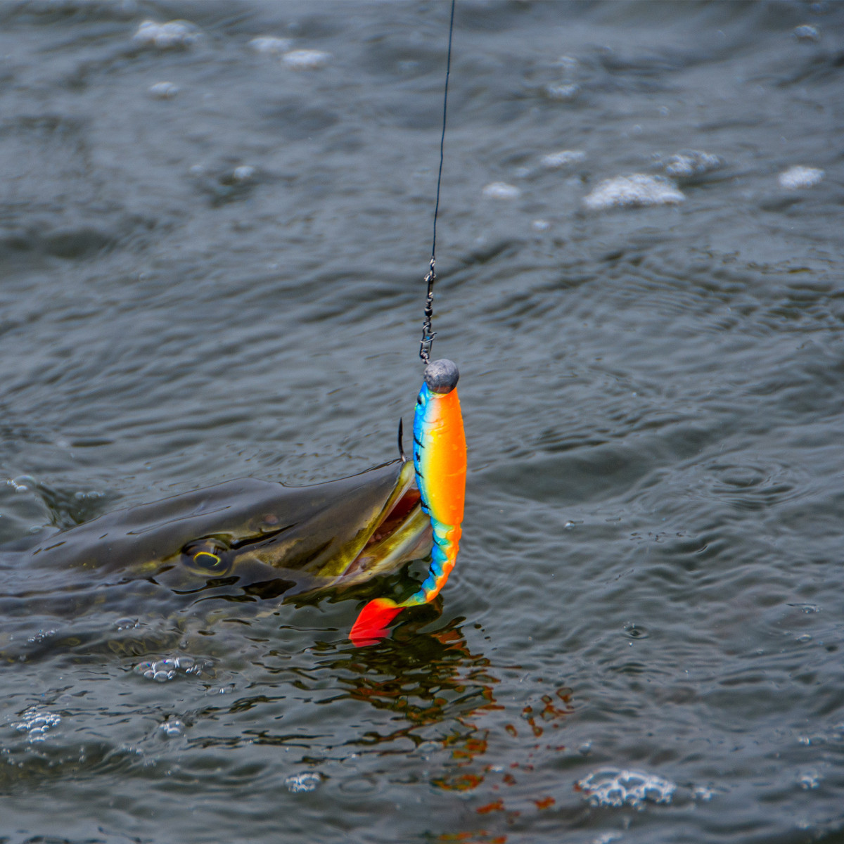 Guma Savage Gear Cannibal Angry Dot