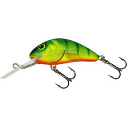 Warianty Wobler Salmo Hornet 9,0cm - HP / Hot Perch