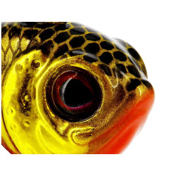 Przynęta Westin DropBite Tungsten Spin Tail Jig