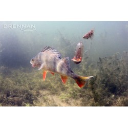 Koszyk zanętowy Drennan Feederbombs 35g - 1 sztuka