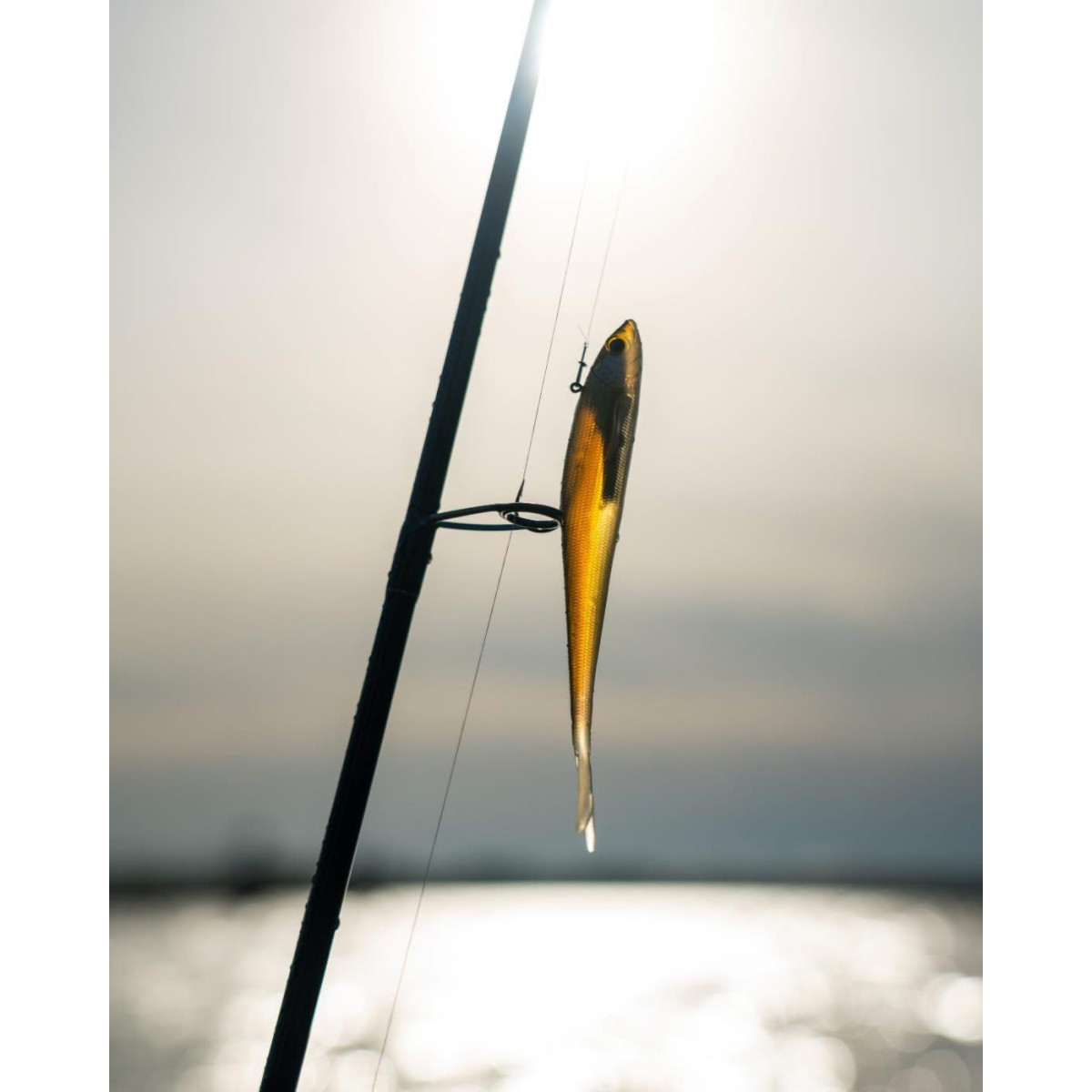 Guma Westin Twitchteez R2F