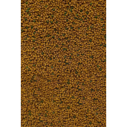 FB11-24 Pellet Feeder Bait Method Pellet 2mm - Ananas & Kwas masłowy