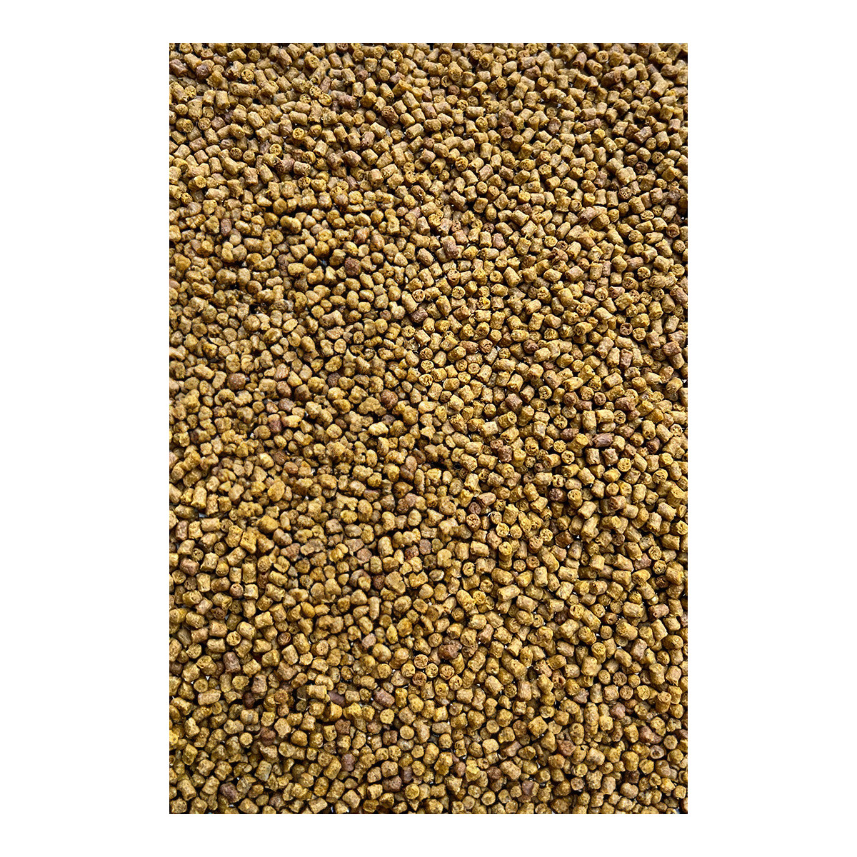 Pellet Feeder Bait Method Pellet 2mm - Epidemia