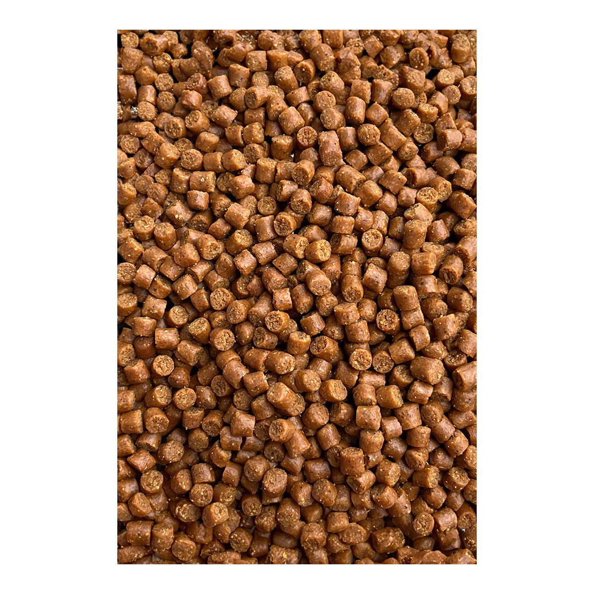 Pellet Feeder Baits 800g - Epidemia 4mm