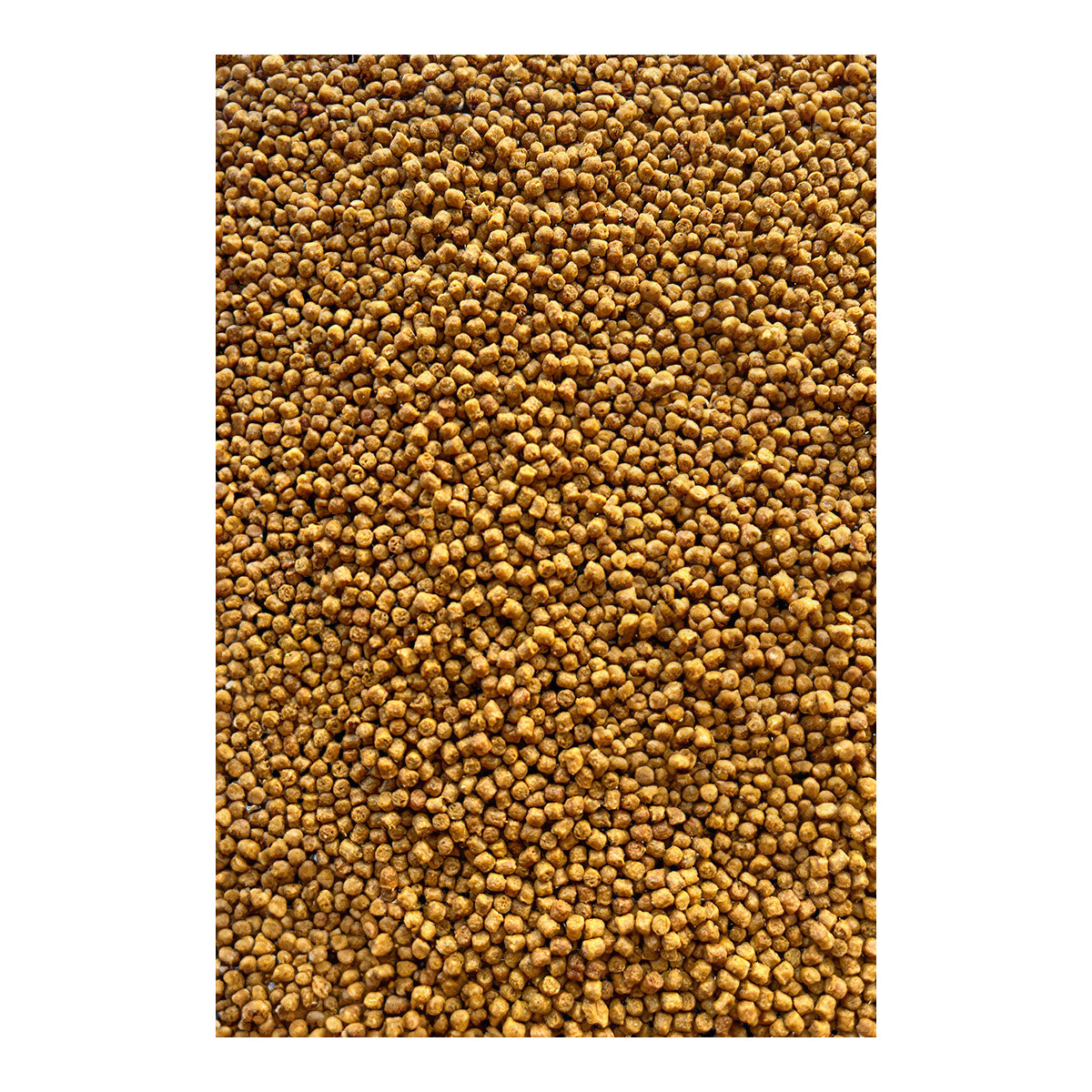 FB11-22 Pellet Feeder Bait Method Pellet 2mm - Competition Karp