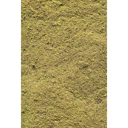 Zanęta Feeder Bait PRESTIGE Method Mix 800g - Green Feeder Betaine