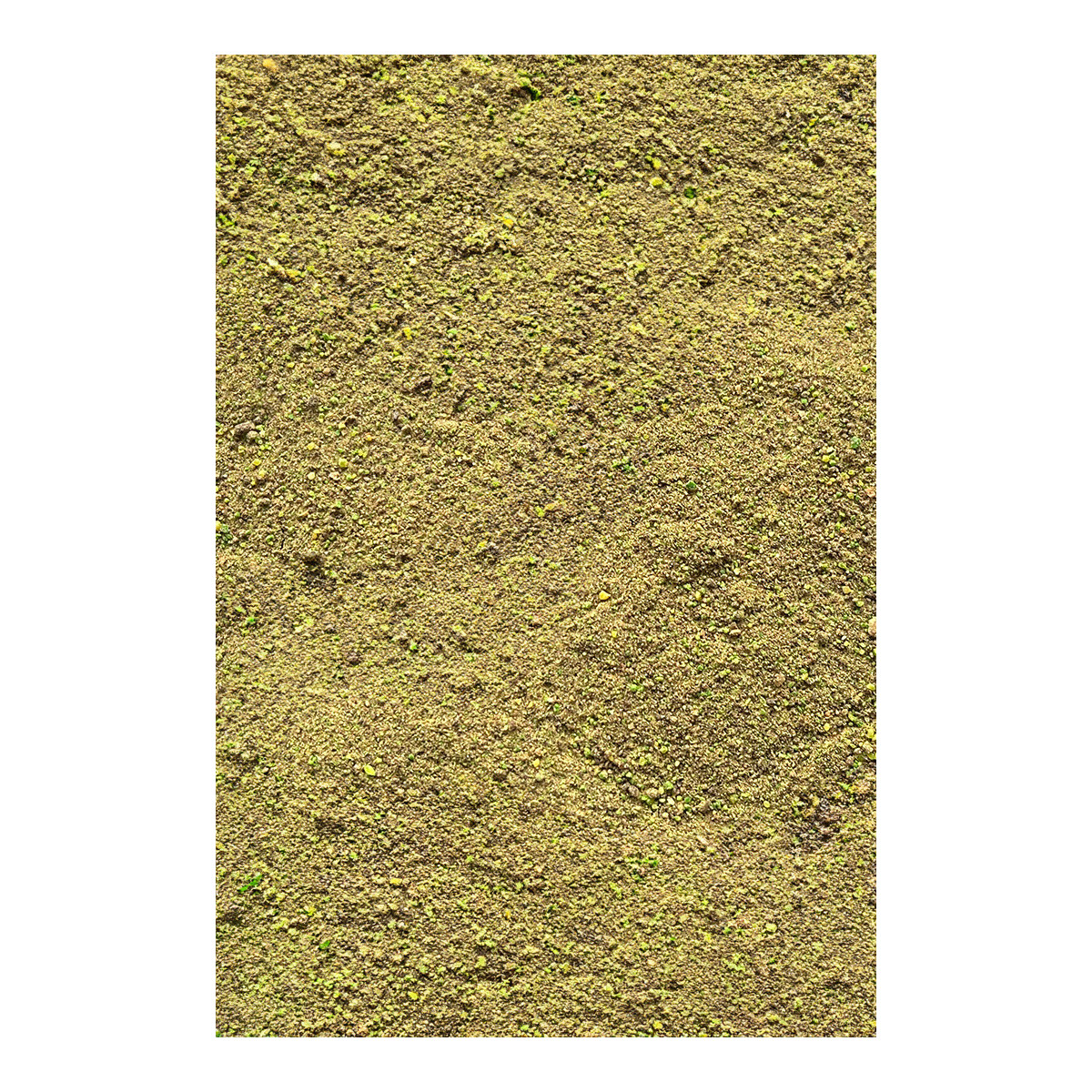 Zanęta Feeder Bait PRESTIGE Method Mix 800g - Green Feeder Betaine