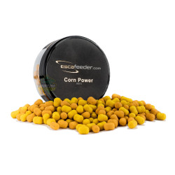 ESC-23 Przynęty Esca Feeder Wafters - Mini 6mm / Corn Power