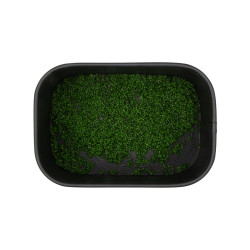 BNL0019 Booster BaitNow Voo Doo 50ml - Hybrid