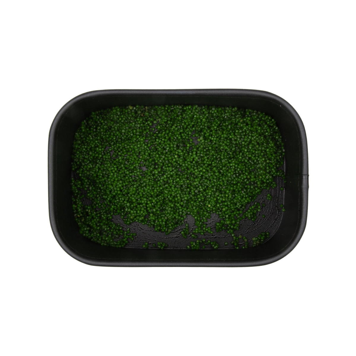 BNL0019 Booster BaitNow Voo Doo 50ml - Hybrid