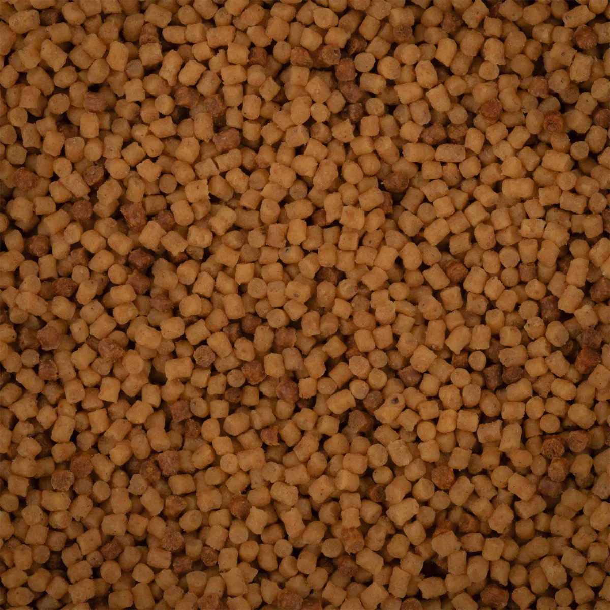 BNP0004 Pellet BaitNow Method Feeder 800g - Original Coarse 2mm