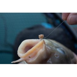 Gumki do pelletu Preston Hookable Bait Bands