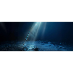 Wędka Favorite Blue Bird 26