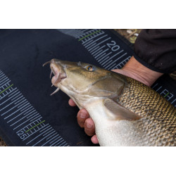 K0290139 Mata karpiowa Korum Neoprene Measure Mat