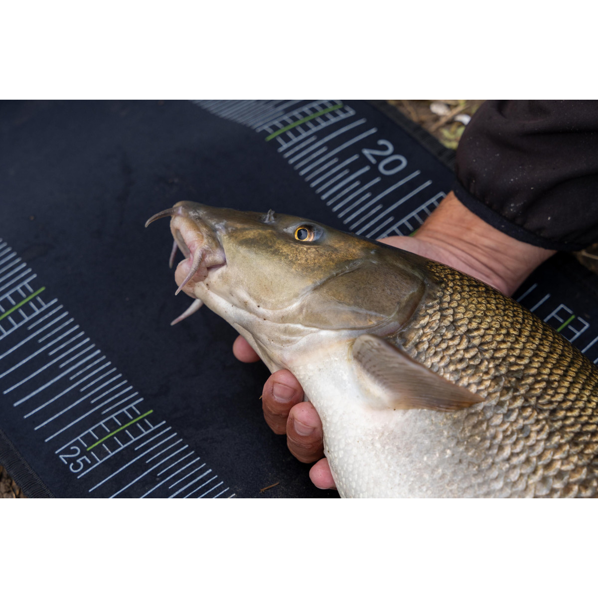 K0290139 Mata karpiowa Korum Neoprene Measure Mat