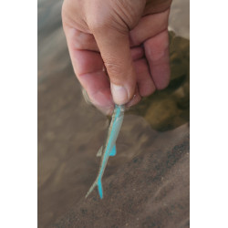 Gumy Perch Professor Freakin Minnow