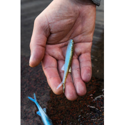 Gumy Perch Professor Freakin Minnow