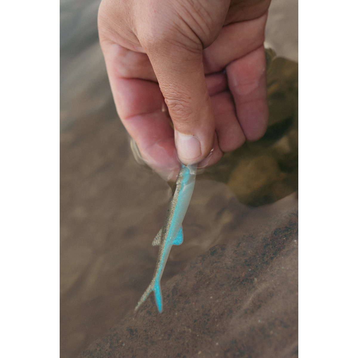 Gumy Perch Professor Freakin Minnow