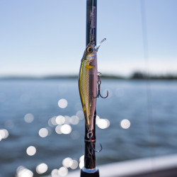 Wobler Rapala Precision Xtreme Air Boss