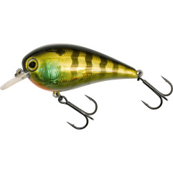 P295-015-008 Zestaw Westin Gift Box Luc Coppens Favourities