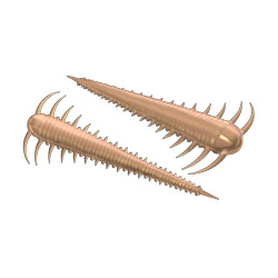 LB-SZ55-035 Libra Lures Slayzur 5.5cm - 035 / PELLETS