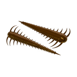 LB-SZ55-038 Libra Lures Slayzur 5.5cm - 038 / BROWN