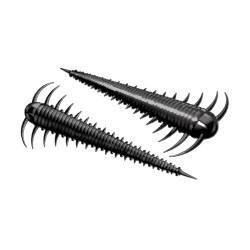 LB-SZ55-040 Libra Lures Slayzur 5.5cm - 040 / BLACK