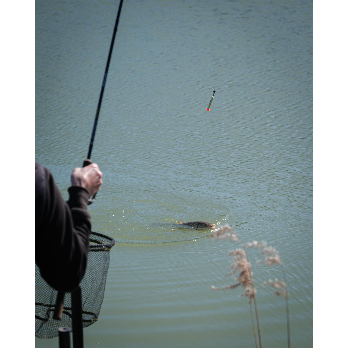 Spławik Matrix Foam Pellet Waggler 12mm