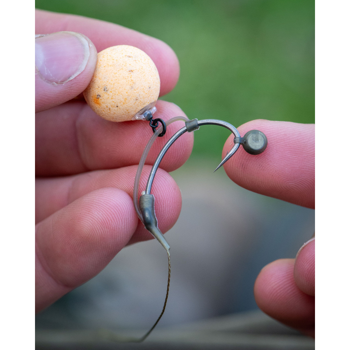 Fox Edges Shot on the Hook