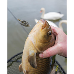 Koszyk Matrix Method Feeder