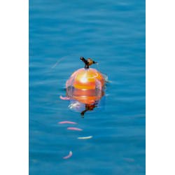 Koszyk Korum Floating Window Combi Feeder