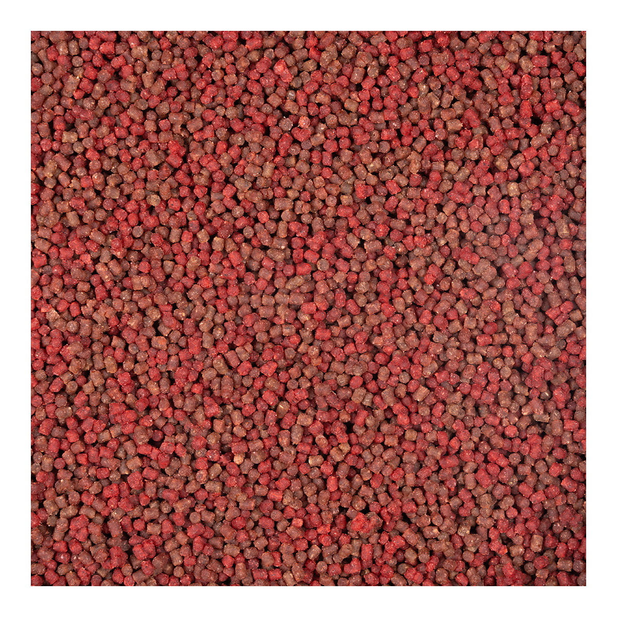 Pellet BaitNow Method Feeder Ready To Go 500g