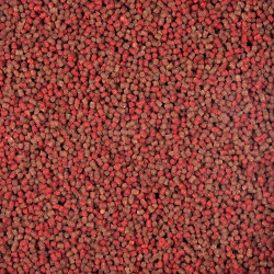 Pellet BaitNow Method Feeder Ready To Go 500g