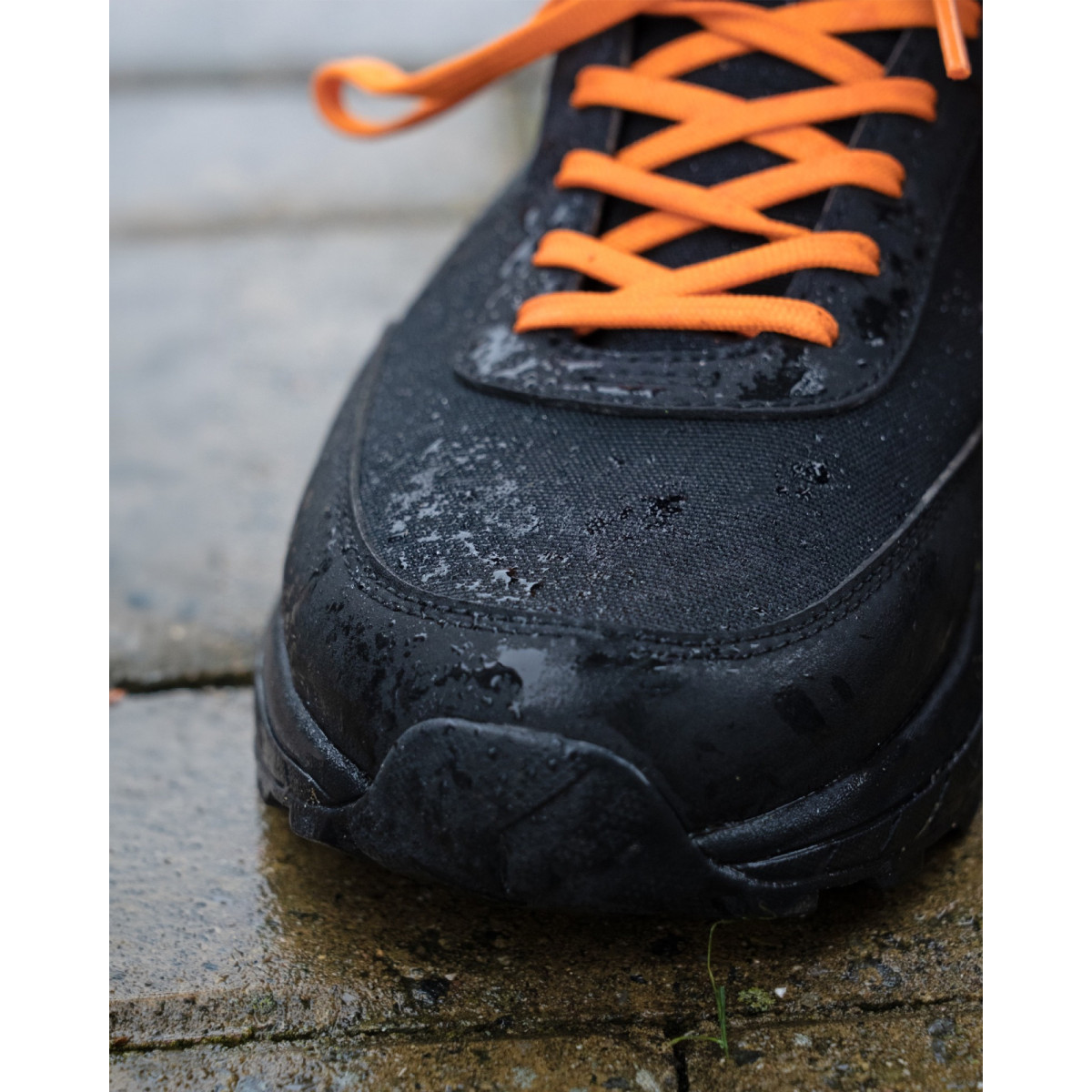 Buty Guru Waterproof Trainer