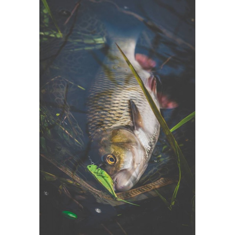 Wobler Imago Lures HOPPER 4.5F GN