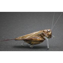 Wobler Imago Lures HOPPER 4.5F - LBDB