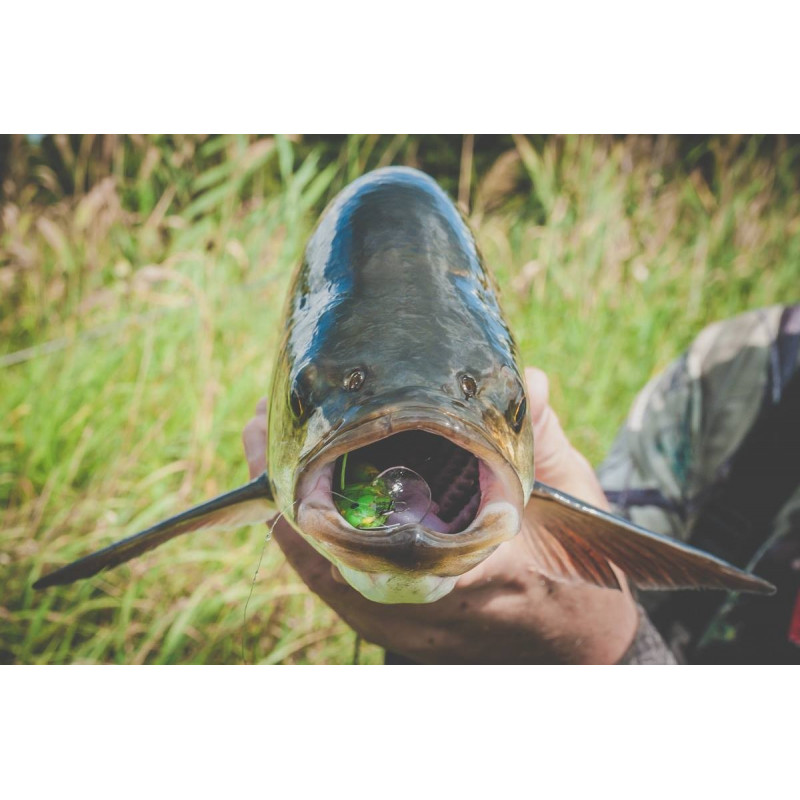 Wobler Imago Lures HOPPER 4.5F GN