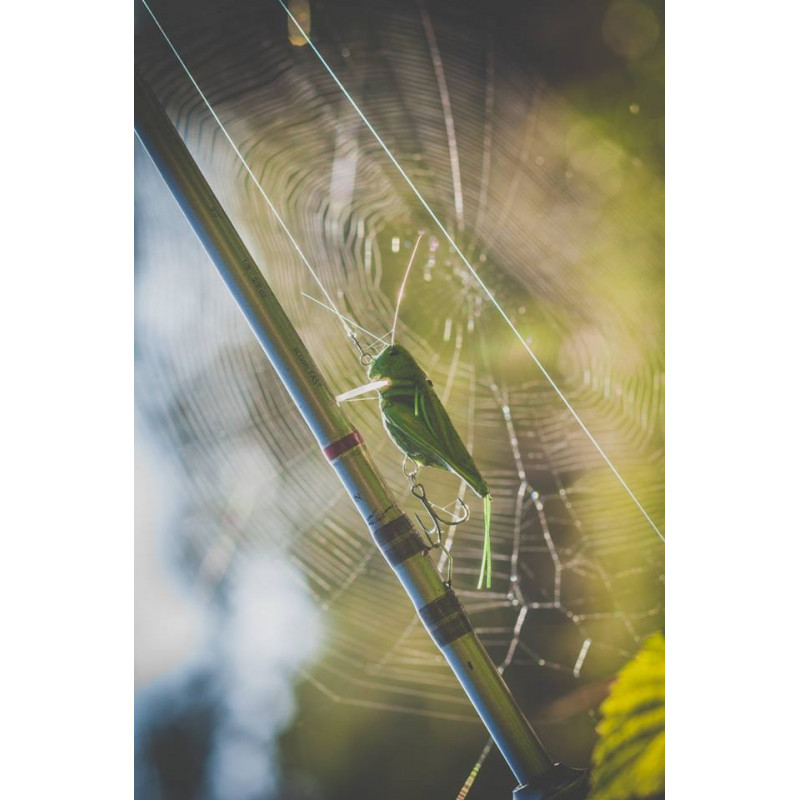 Wobler Imago Lures HOPPER 4.5F GN